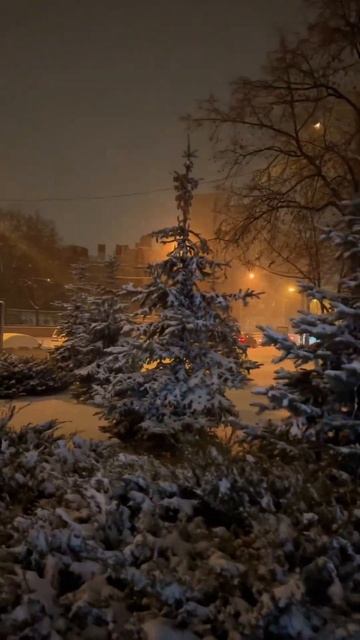 Новогодний хит России «В лесу родилась ёлочка» - всё н? смотреть онлайн