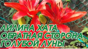 САМВЕЛ АДАМЯН, ЛИЛИНА ХАТА, ОБРАТНАЯ СТОРОНА ГОЛУБОЙ ЛУНЫ..