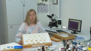 Международная конференция "Защита леса. Защита будущего" проходит в Иркутске