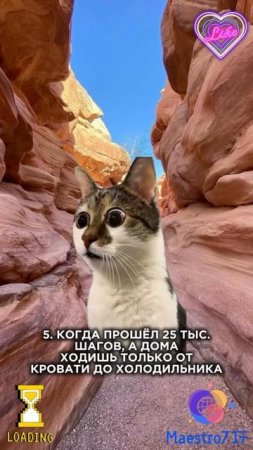 💻 Путешествия, такие путешествия 🌐