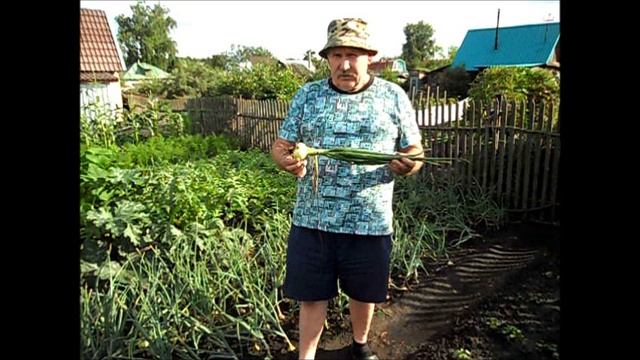Уборка лука