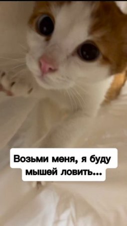 Вот и поверили ♀️