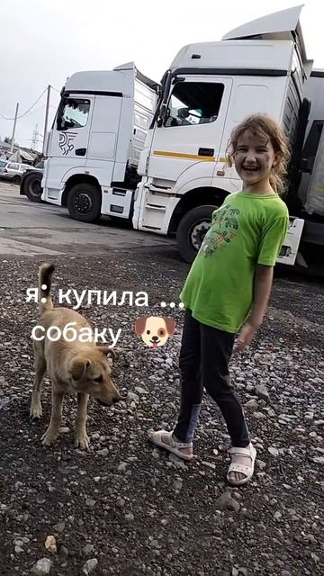 1000008355.mp4 смотреть онлайн