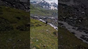 Татапа Стауат