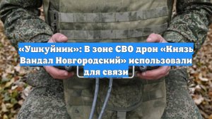 «Ушкуйник»: В зоне СВО дрон «Князь Вандал Новгородский» использовали для связи
