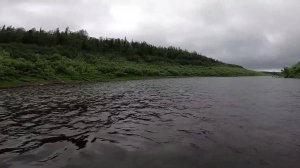 ДЕНЬ РЫБАКА! РЫБАЛКА ПО ТРОФЕЙНОМУ ХАРИУСУ. Часть вторая.