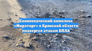 Свиноводческий комплекс «Мираторг» в Брянской области подвергся атакам БПЛА