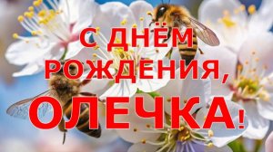 С ДНЁМ РОЖДЕНИЯ, ОЛЯ