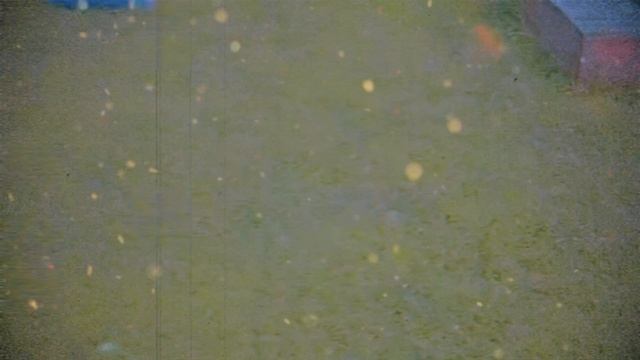 1000029380.mp4 (Собака наблюдает за креплением имитации бруса, планированием каркаса в доме А-фрейм)
