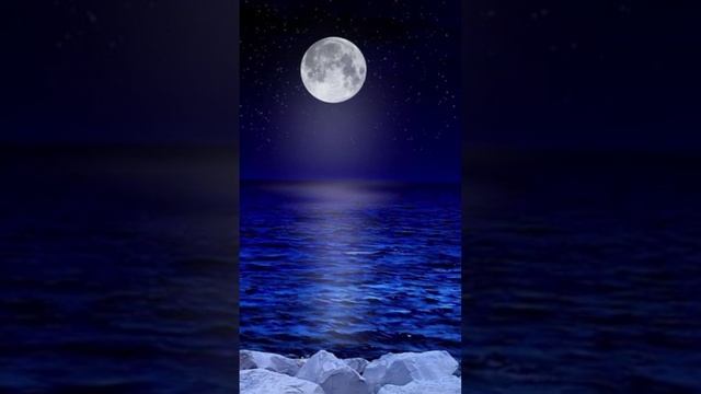 Моя Карелия 3