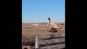 Я ржал до слез 😂 20 Минут смеха  Смешные видео Приколы с животными