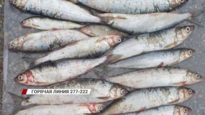 В Улан-Удэ насмерть сбили пешехода