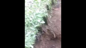 Коп ямы на старинном подворье.