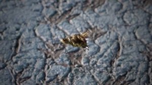 Europa Промо к ролику про изучение подледного океана спутника Европа