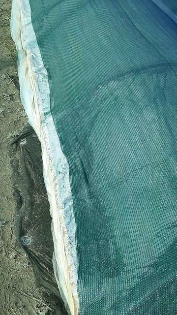 Погода портит планы