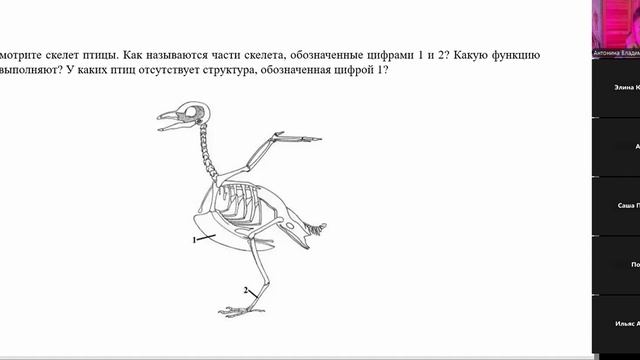записи практик (6)
