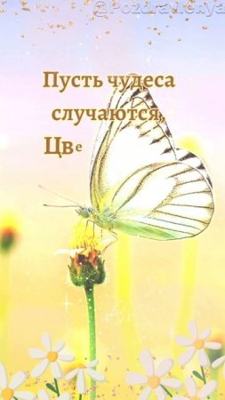 День Сергия Радонежского 18 июля