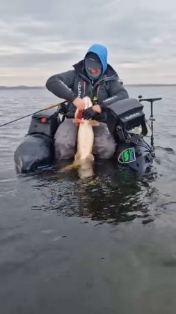 Отличный трофей 🎣