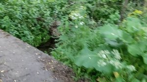 ЦЕЛЕБНАЯ ВОДА В ИСТОЧНИКЕ! ТРИ КОЛОДЦА!