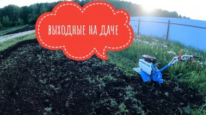 Выходные на даче