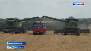 В Яковлевском округе началась активная уборка зерновых культур