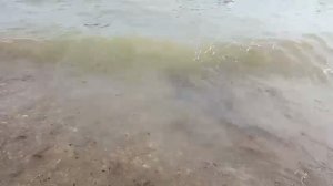 море отдых удался