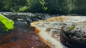 Река Мга в июле 2025, перекаты и пороги