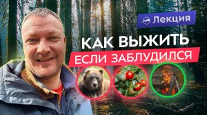 Выживание в лесу: что делать, если потерялся?