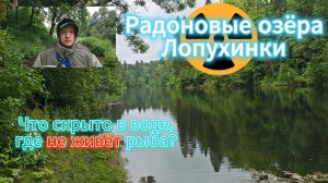 Радоновые источники Ленобласти: что скрывают озёра, где не живёт рыба