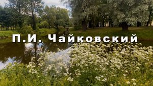 П.И.Чайковский Щелкунчик, танец Пастушков. Музыка для души