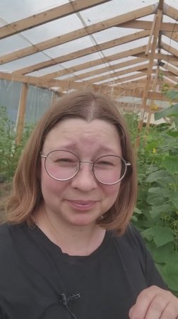 Почему сложно в теплице работать.