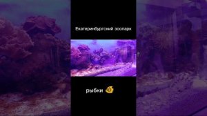 Екатеринбургский зоопарк