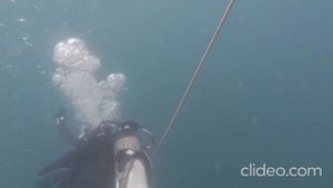 Погружение на Гордипию Сукко Анапа