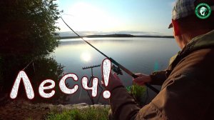 ДВУШКА, ДОЖДАЛСЯ СВОЕГО ЧАСА, ДОВЫЁЖИВАЛСЯ! РЫБАЛКА С НОЧЕВКОЙ НА ФИДЕР НА ПРУДУ, РЫБАЛКА НА УРАЛЕ!