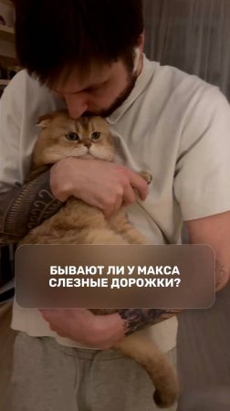 Бывают ли у Макса слезные дорожки?