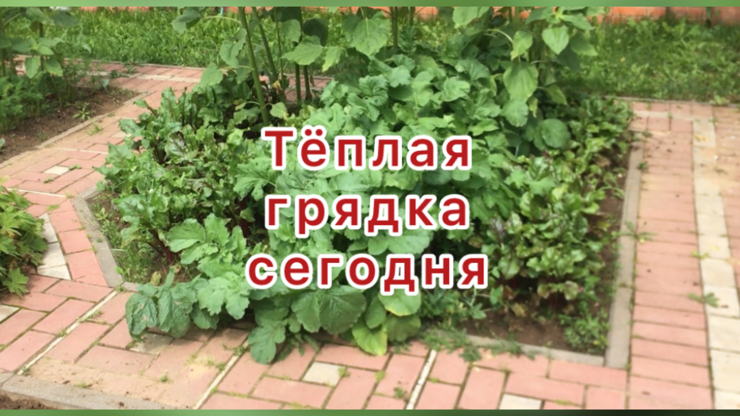 Огород.
Обзор тёплых грядок.