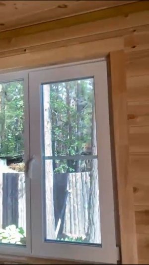 Каркасно-щитовой дом: быстро, удобно, стильно!