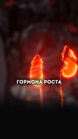 🧱 Жировой «панцирь» не уходит, даже если ты на ПП и пашешь в зале?