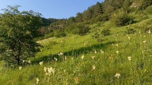 Кольцо гора,а вдалеке Эльбрус. #Кисловодск