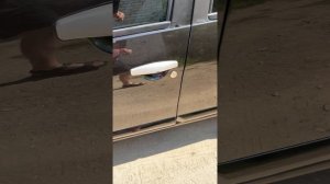 Рено Сандеро, 2011 год