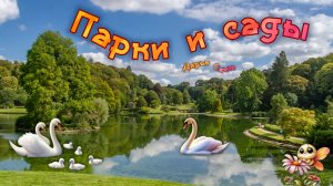 Ботанический сад МГУ имени М.В. Ломоносова на Ленинских (Воробьёвых) горах. Июль 2025