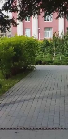 Парк.🍀☘️🌿