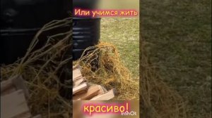 КОПЧЕНИЕ РЫБЫ НА КОСТРЕ #топпубликаций # топ #fish #food #like #лучшее #вкуснополезно #лайкподписка