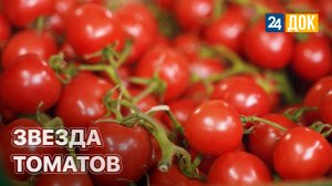 Как выбрать сладкие помидоры? ЗЕМЛЕХОД