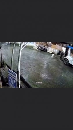 Они думали это обычная кошка