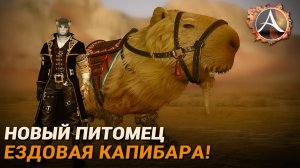 ArcheAge. Ездовая капибара!