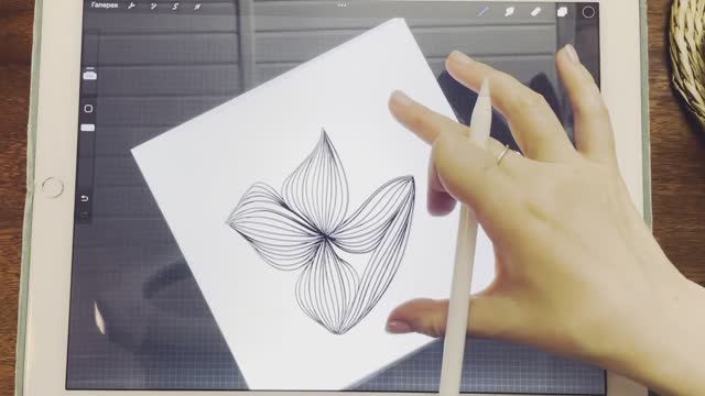 Зенарт - Необычный цветок (часть 1. Лепестки из линий) смотреть онлайн