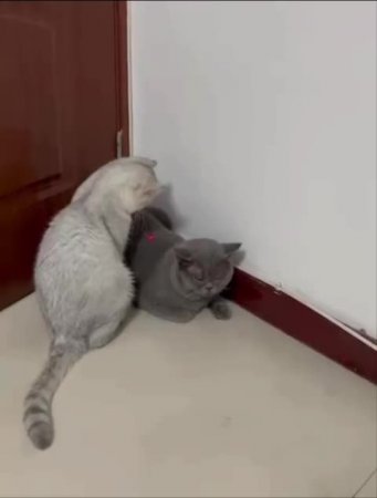 Подпишись 👉 https://vk.com/ykrasheniy_iz_kamny