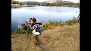 Обращение к администрации Горловки.  Пятовский ставок