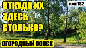 или НАХОДКИ ПРОДОЛЖАЮТ РАДОВАТЬ. коп 182
